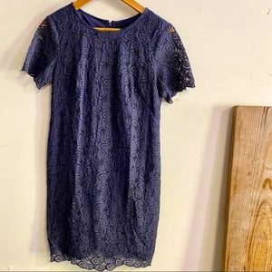 Ann Taylor Office Casula Dress